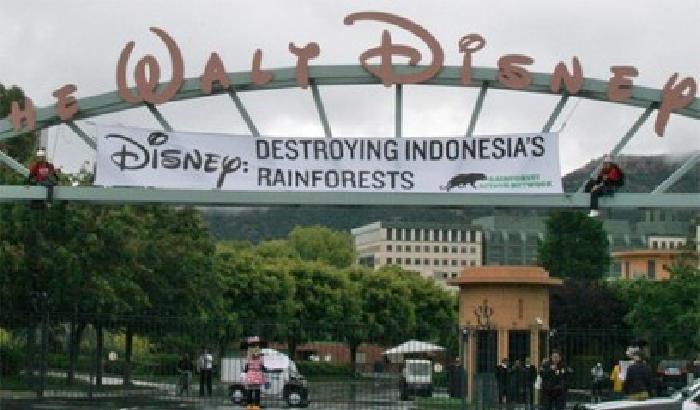 La Disney contro la deforestazione