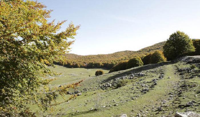 La Piana di Campaegli, storia di un parco naturale da salvare