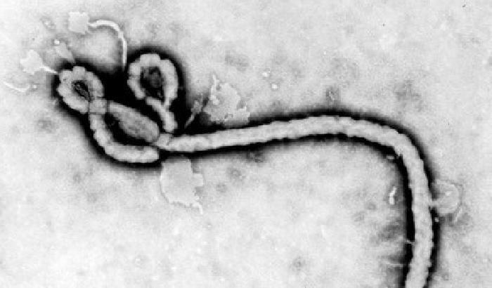 L'epidemia di ebola che spaventa l'Africa