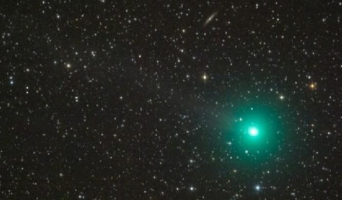 La cometa di Natale: ecco come osservare Lovejoy