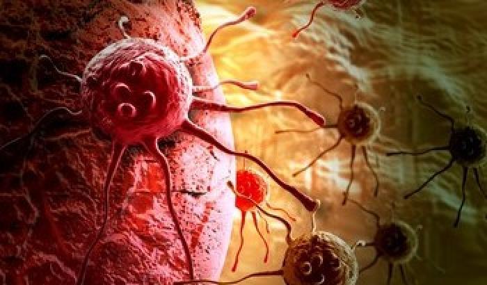 Cancro: possibile cura con alcuni farmaci per il cuore