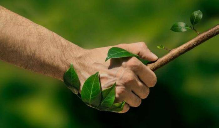 Giornata mondiale per l'ambiente