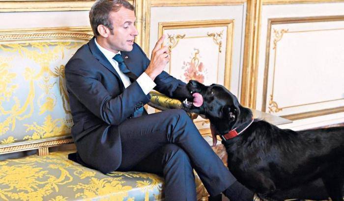 Macron e il suo cane Nemo