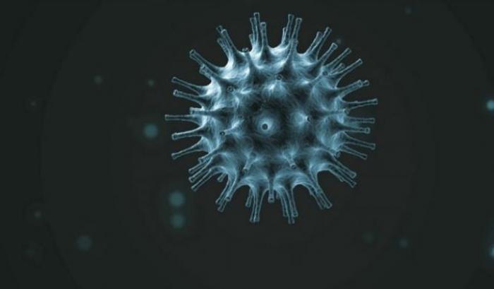Il Coronavirus