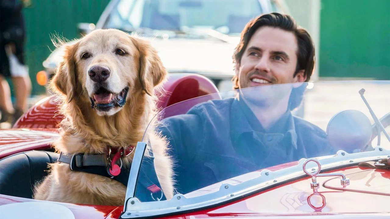 “Attraverso i miei occhi”, questa sera alle 21.45: ecco la trama del film con Milo Ventimiglia