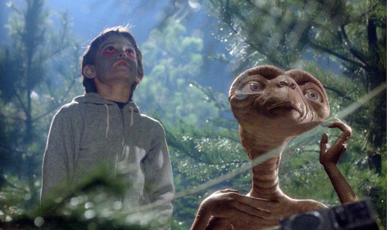 “E.T. - L’extraterrestre”, alle 21.20 su Italia 1: la trama del capolavoro del 1982 diretto da Steven Spielberg